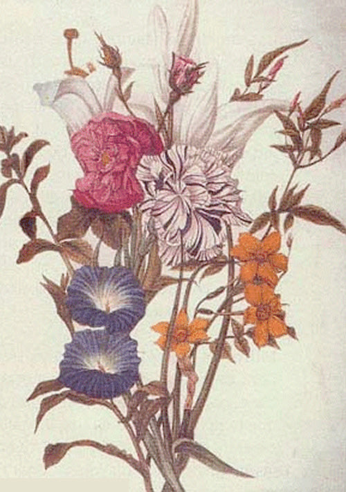 The Illusion and Our Concepts