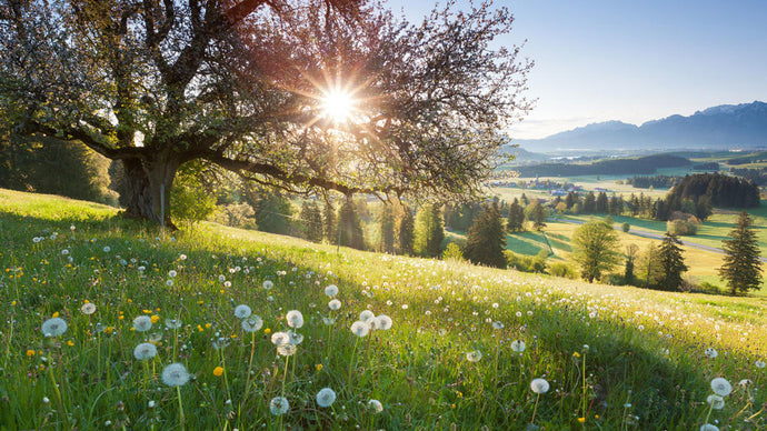 Moving away from suffering